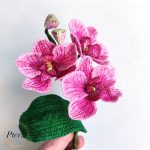 3D Phalaenopsis Orchid Embroidery Design featuring pink textured flowers, delicate green buds, and a broad green leaf on a branch.