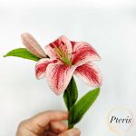 3D Lily machine embroidery design featuring a hand holding a highly detailed freestanding pink and red embroidered lily flower with a realistic green stem, bud, and textured leaves.