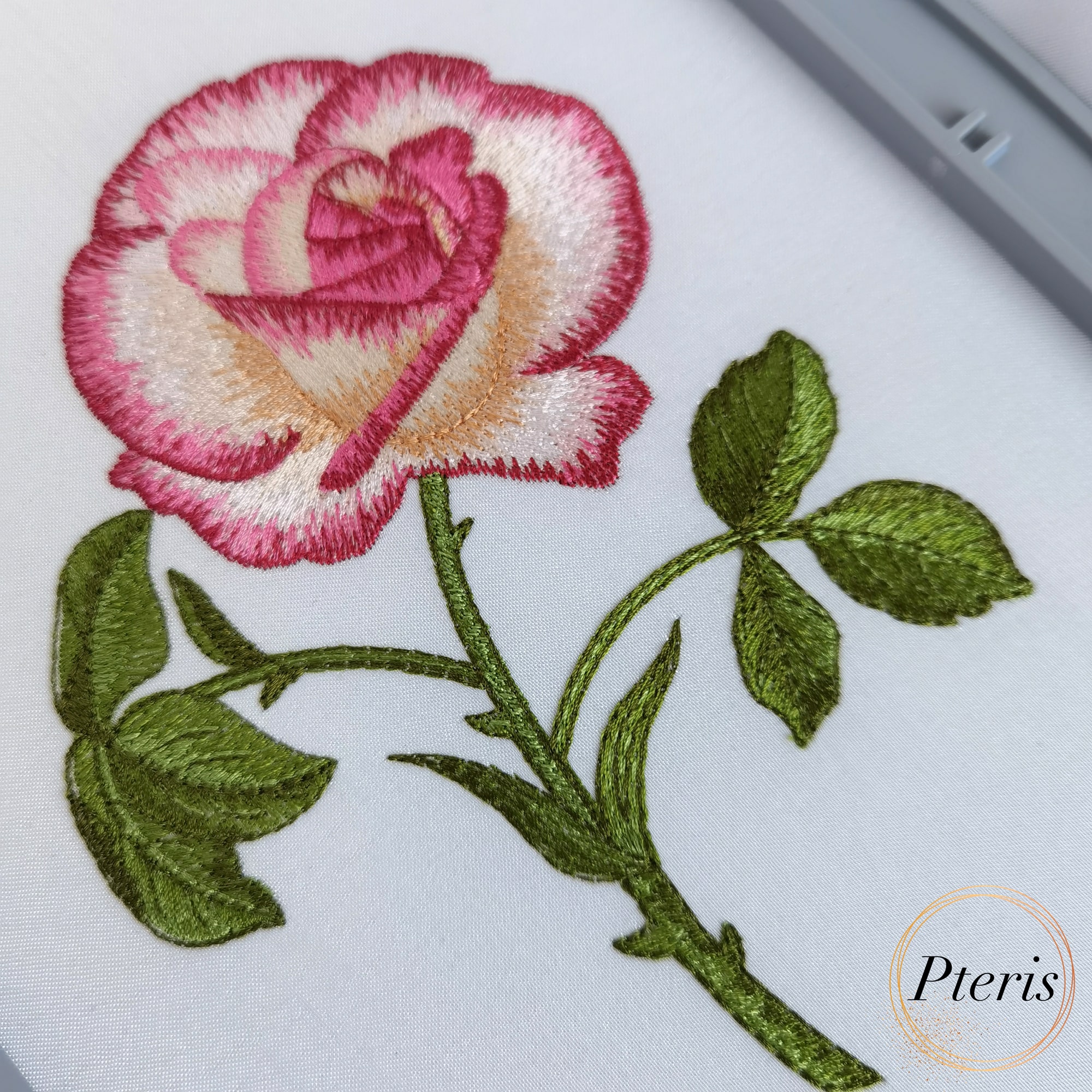 Rose in bloom machine embroidery design showing a completed embroidery sample of a highly detailed pink and cream blooming rose with a green thorned stem and leaves, stitched on a crisp white fabric backing.